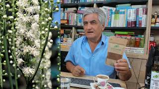 Gökçek TÜRK KAHVESİ Beyni güçlendir, Mideyi korur, Cinselliği artırır, Şişkinlik ve Kısırlığı önler