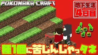 【ぽこなかくら＃254】地下生活4日目！種がたった1個でいいのに見つからない…【マインクラフト】