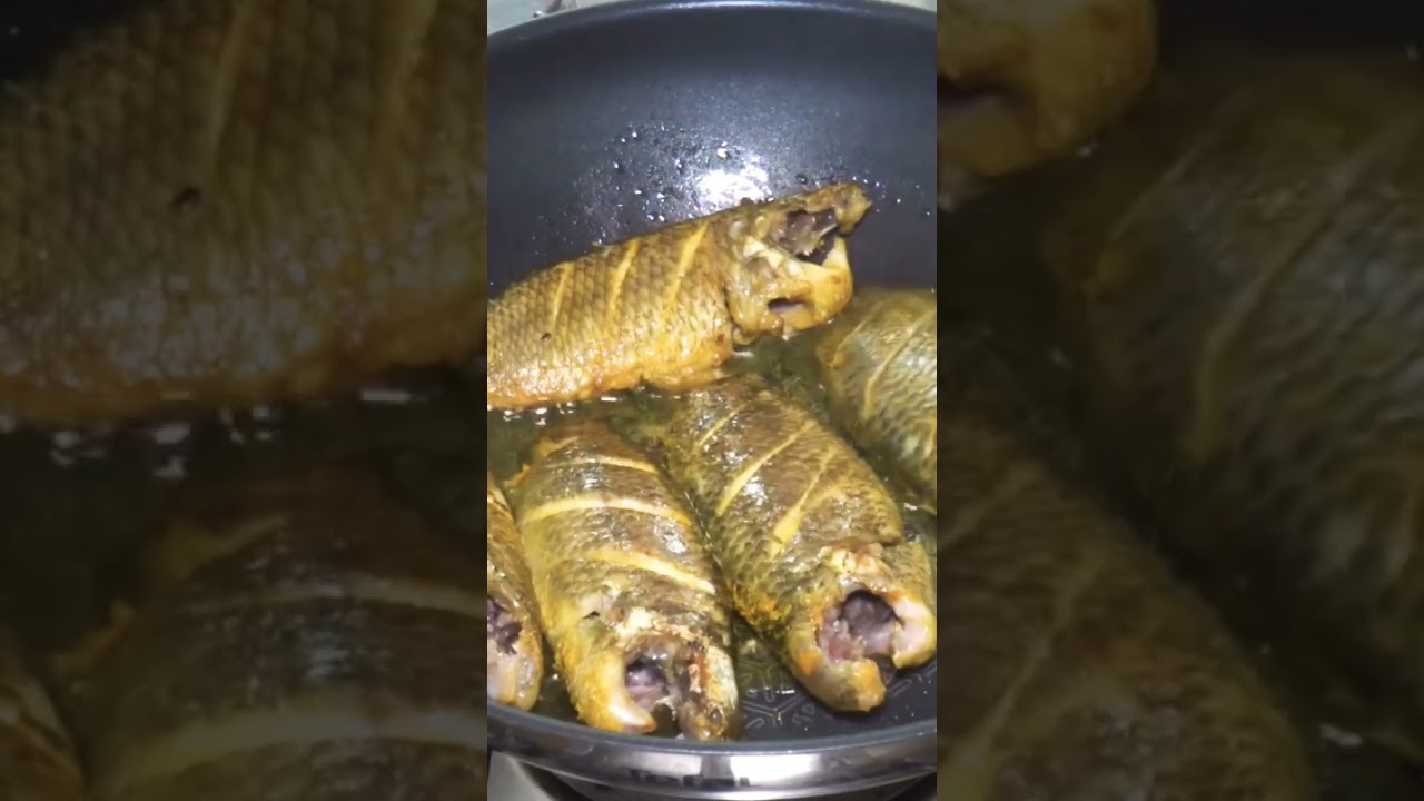 Climbing Perch Fish # Koi Mach Bhuna # Deshifood 