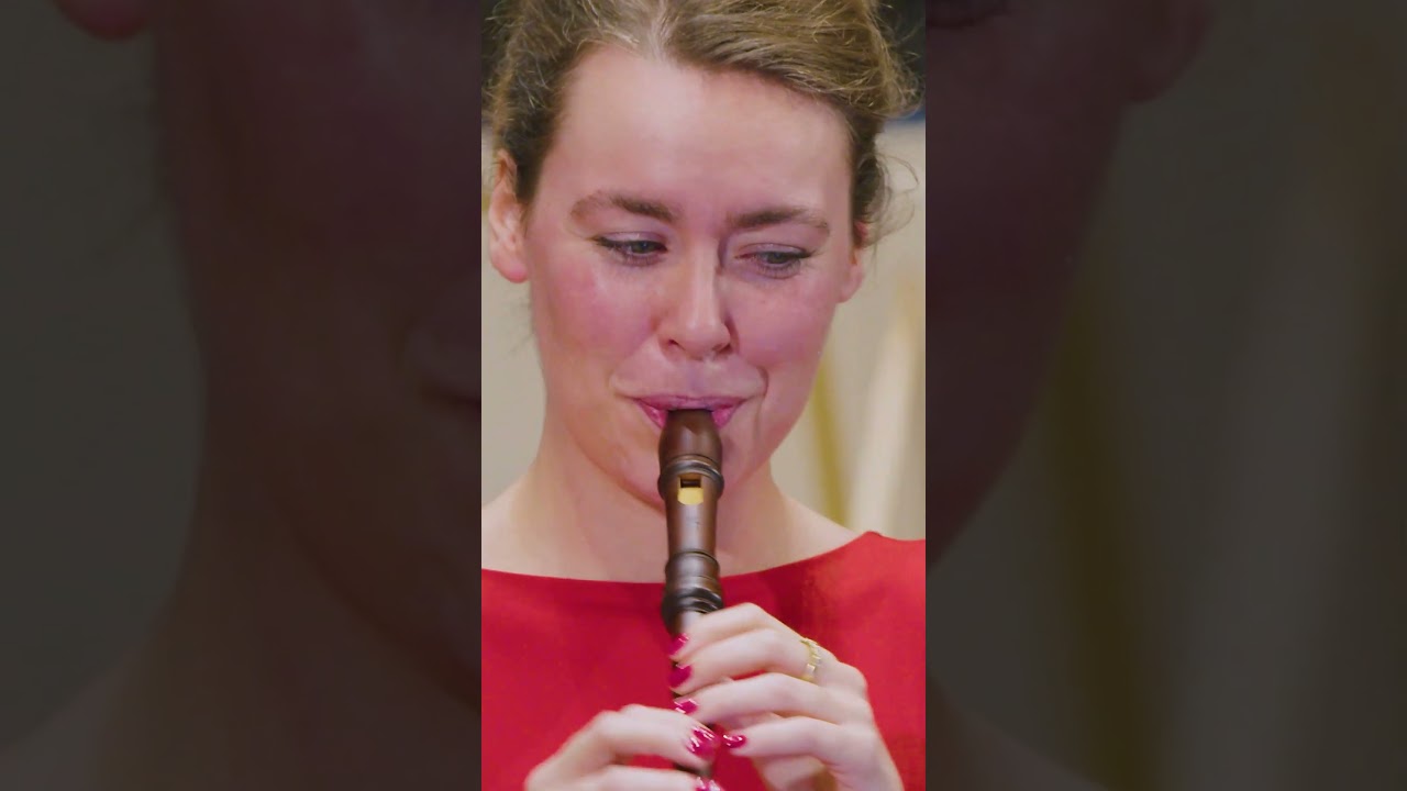 FUN, FUN, FUN! Does anyone read these titles? 🤩🎵 