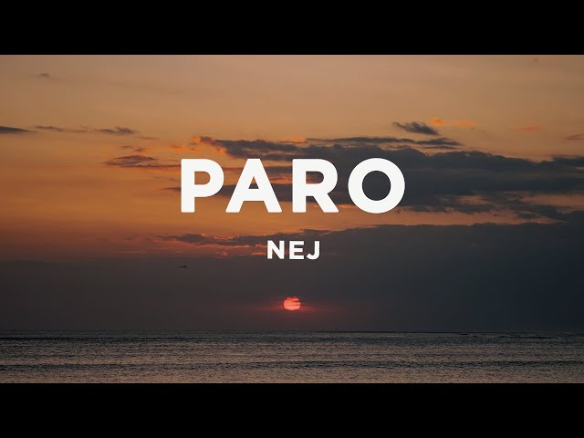 Nej - Paro (Lyrics) sped up | allo allo tik tok song class=