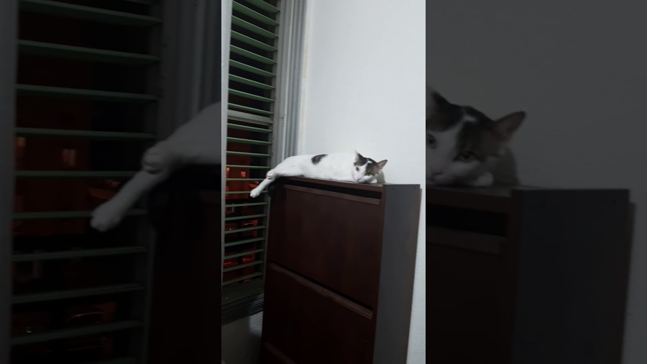 17 августа 2019 г.