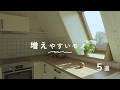 【少ない物で暮らす】増えやすいモノ、持ち方5選|Minimalism