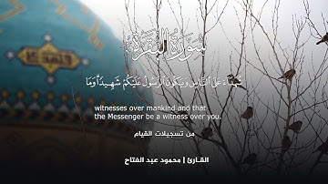 جديد | الشيخ محمود عبدالفتاح صالح|سورة البقرة - آيات تحويل القبلة