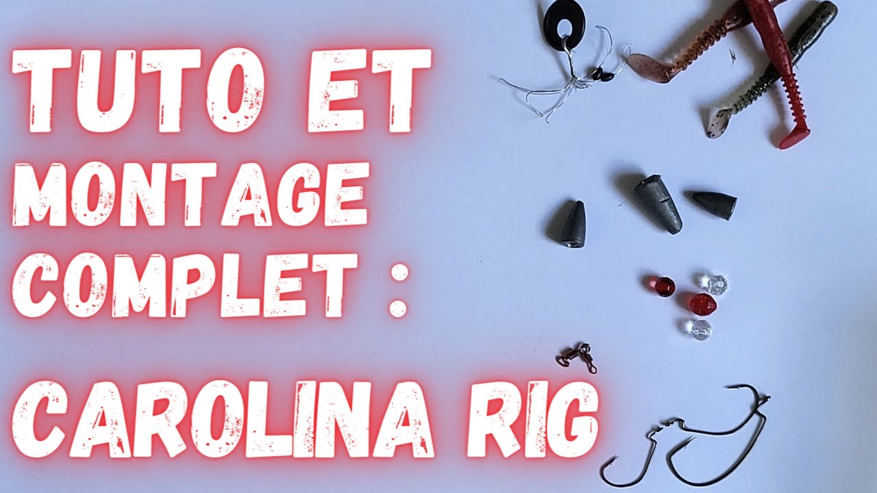 TUTO : CAROLINA RIG ( montage , animation et poissons )