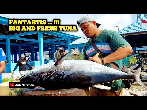 Fantastis ... !!! Abang Tiar Potong Ikan Tuna Besar dan Segar Pesanan Rumah Makan Padang