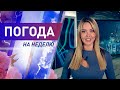 Погода на неделю с 29 июня по 5 июля 2020. Прогноз погоды. Беларусь | Метеогид