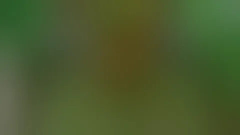 Gen. Sani Abacha's Speech, after he took over from Chief Ernest Shonekan.