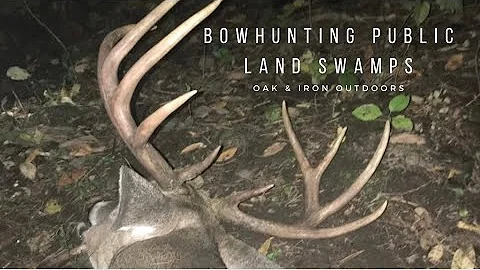 How to Bow Hunt Public Land Swamps