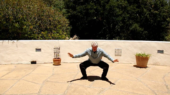 Tai Chi Easy 5 Movements