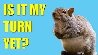 Does Your Initiative System Fit?