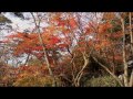 有馬温泉・瑞宝寺公園の紅葉