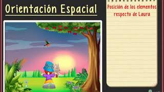 orientación espacial video