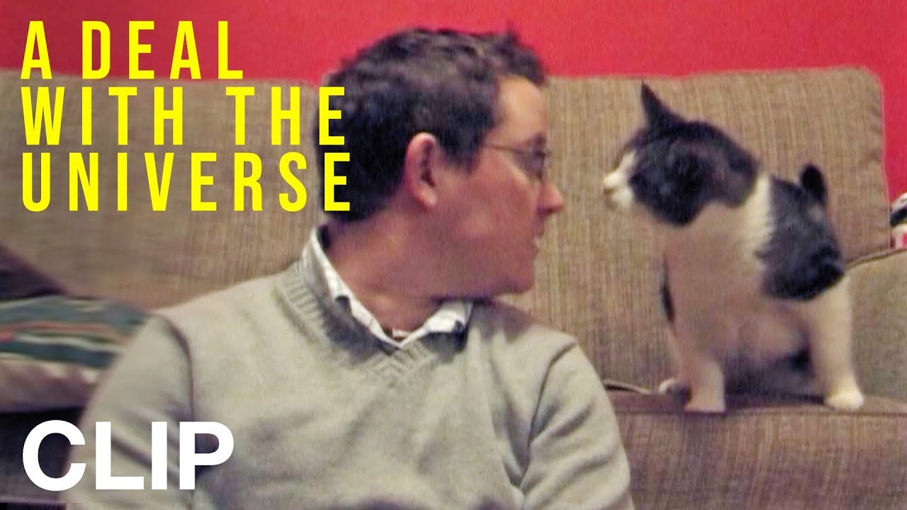 A DEAL WITH THE UNIVERSE - Cat Interruption