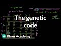 Decoding DNA: The Language of Genes and Protein Synthesis