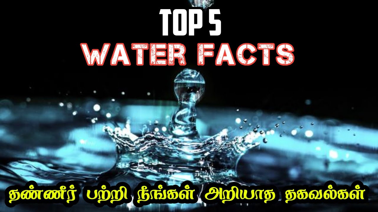 Top 5 Facts of Water Tamil WorldWaterday WaterFacts WaterFactsTamil YouTube