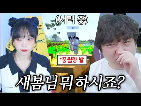 풍월량 <strong>밀</strong> 훔치는 새봄추