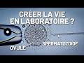 Naître grâce à la science ? Immersion en laboratoire de PMA thumbnail
