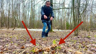 ПЕРВЫЕ ГРИБЫ ПОШЛИ В СНЕГОПАД! СОБИРАЮ ПЕРВЫЕ ГРИБЫ СТРОЧКИ 2022 ГОДА!