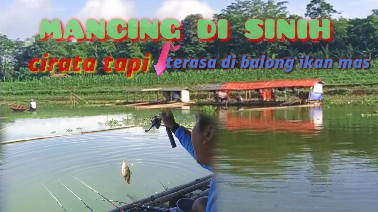 mancing di cirata tapi terasa di balong kilo gebrus ikan mas