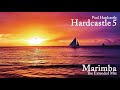 Miniature de la vidéo de la chanson Marimba