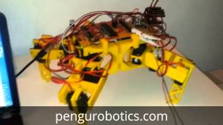 quadruped robot Q1. Testing with simplistic gait