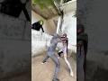 SPIDERMAN vs JOKER GANGZ! Ep.86  #spiderman #parkour  #mrbirdpk #comedy