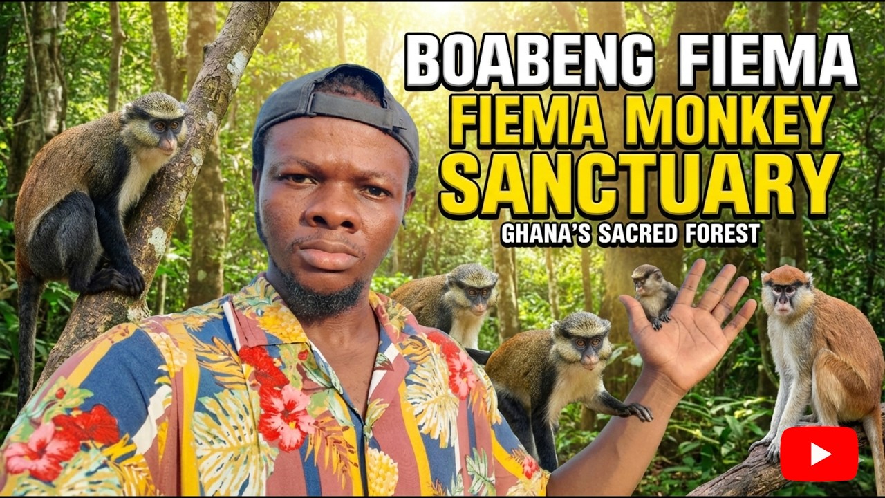 Внутри самого кишащего обезьянами города Ганы 🇬🇭