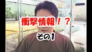 No.71 ブセファランドラ・クダガン裏話パート1 - YouTube