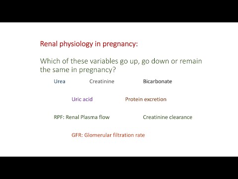 Video: Tokom trudnoće brzina filtracije i broj nefrona?