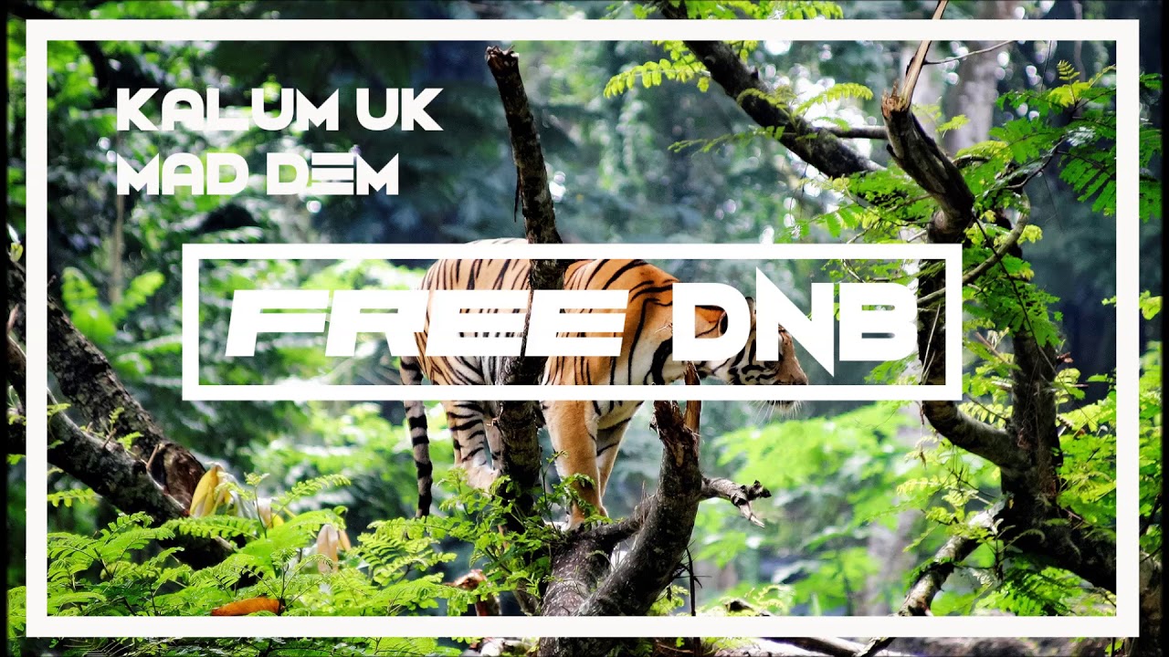 free dnb loops Kalum - Mad Dem {Free Dnb Download}