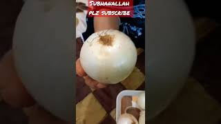 Allah Ki Qudrat White Onionmashallah Subhlah