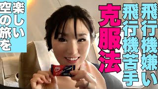 飛行機嫌い 飛行機苦手の克服法 飛行機恐怖症を克服したよ Youtube
