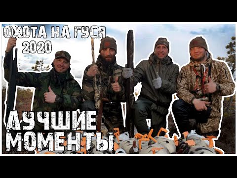 Охота на гуся 2020 Архангельск.