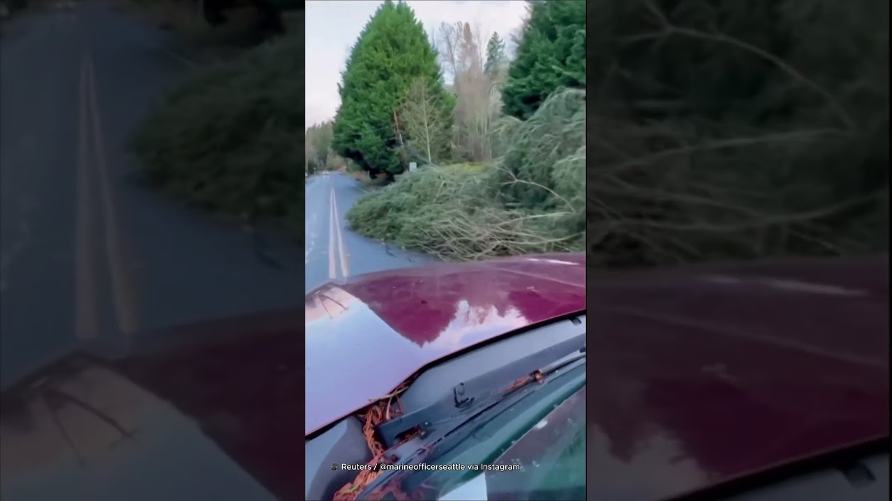 Deadly 'bomb cylone' leaves trail of destruction across Washington