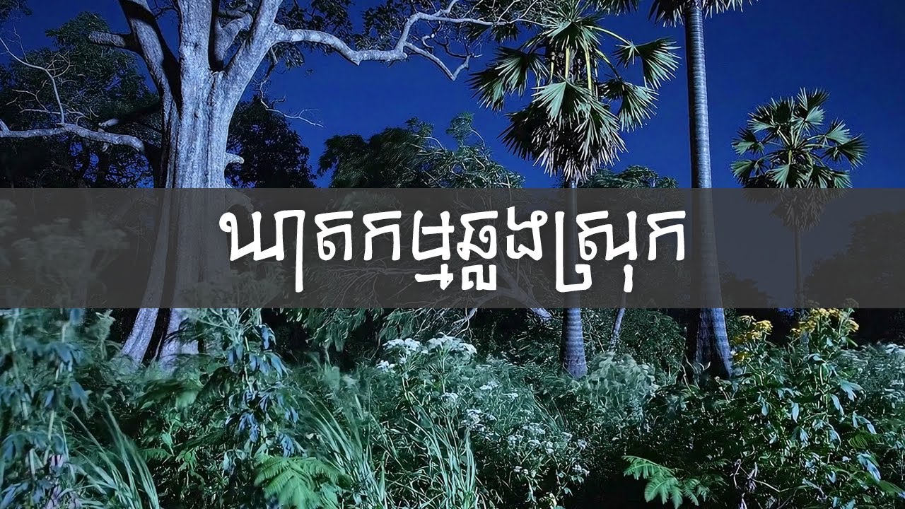 ឃាតកម្មឆ្លងស្រុក | ទឹកលិចភូមិខ្ញុំ | Wind Ripple