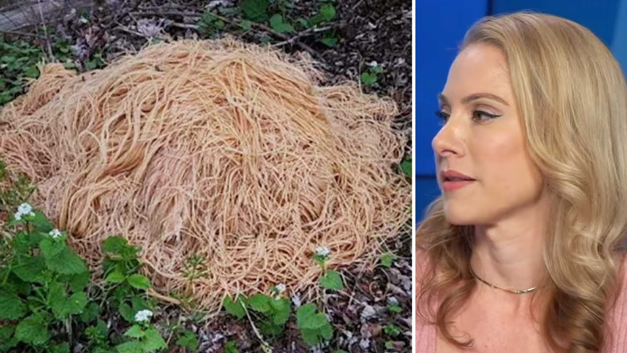 Hundreds of Pounds of Pasta Mysteriously Appear In New Jersey Woods
