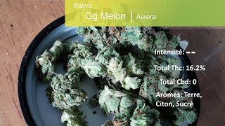 Cannabis récréatif SQDC #52: Og Melon (Aurora)