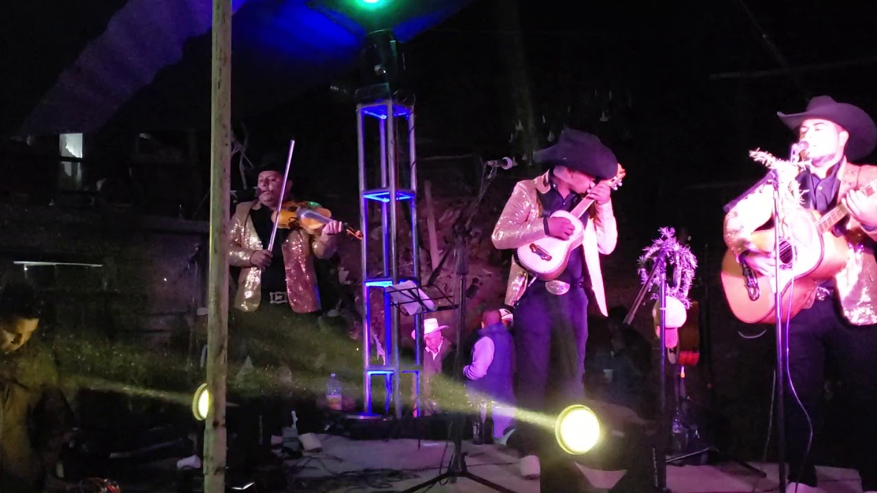 TRIO LOS ALEGRES DE HIDALGO YouTube