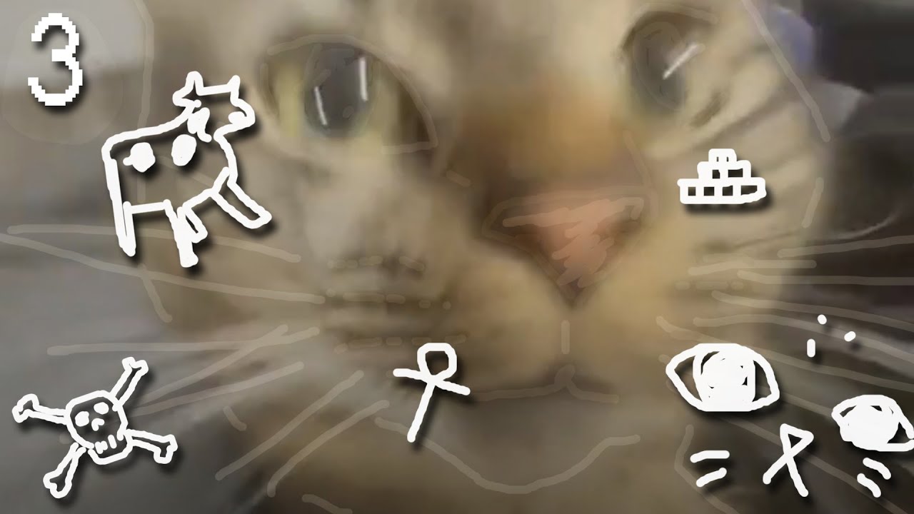 SenQ: В основном о кошках | Около подкаст