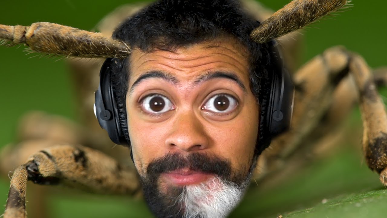 BRO! THEY TURNED ME INTO A F$%KING BUG!! | Metamorphosis