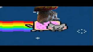 nyan bob feat. cat
