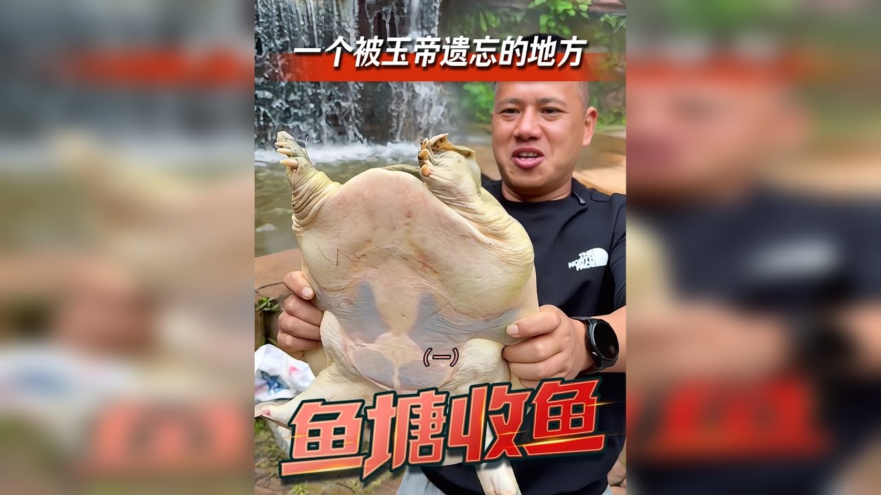 18年没有干过的水坑，惊现神秘巨物