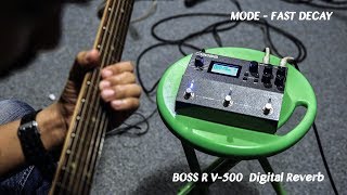 Test BOSS RV-500/MODE-FAST DECAY (Chuck Lobe - Via Verde)