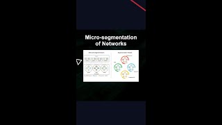 Micro-segmentation of Networks #ai #artificialintelligence #machinelearning #aiagent