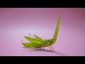 How to make a realistic Grasshopper with Coconut leaves.