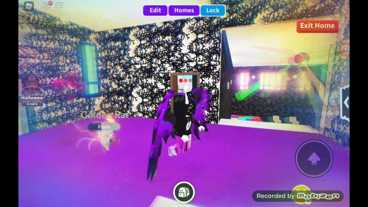 Срочные новости CHADY