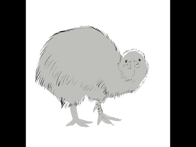 #Kiwi | #art by #houvv