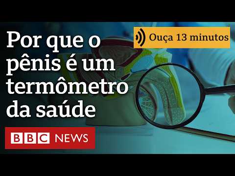Por que o pênis é um termômetro da saúde masculina — e como prestar atenção em seus sinais de alerta