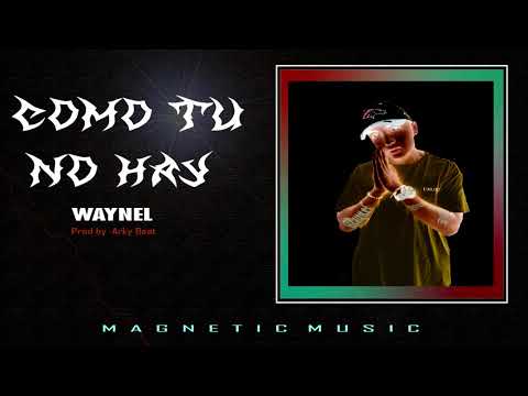 Waynel - Como Tu No hay #Waynel